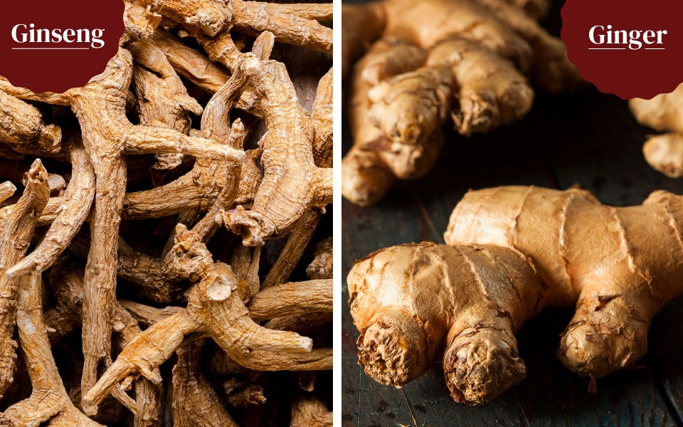 Ginger vs. Galangal Differences